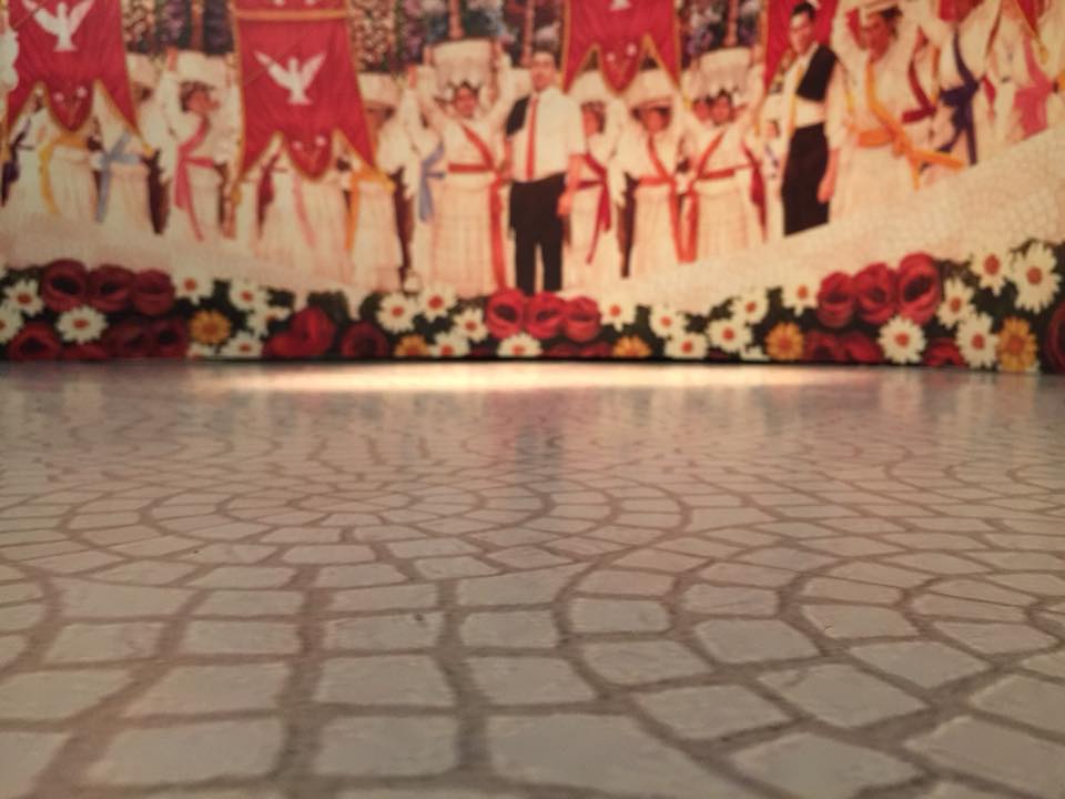 Decoração de 2 salas – uma parede completa e uma sala expositiva.