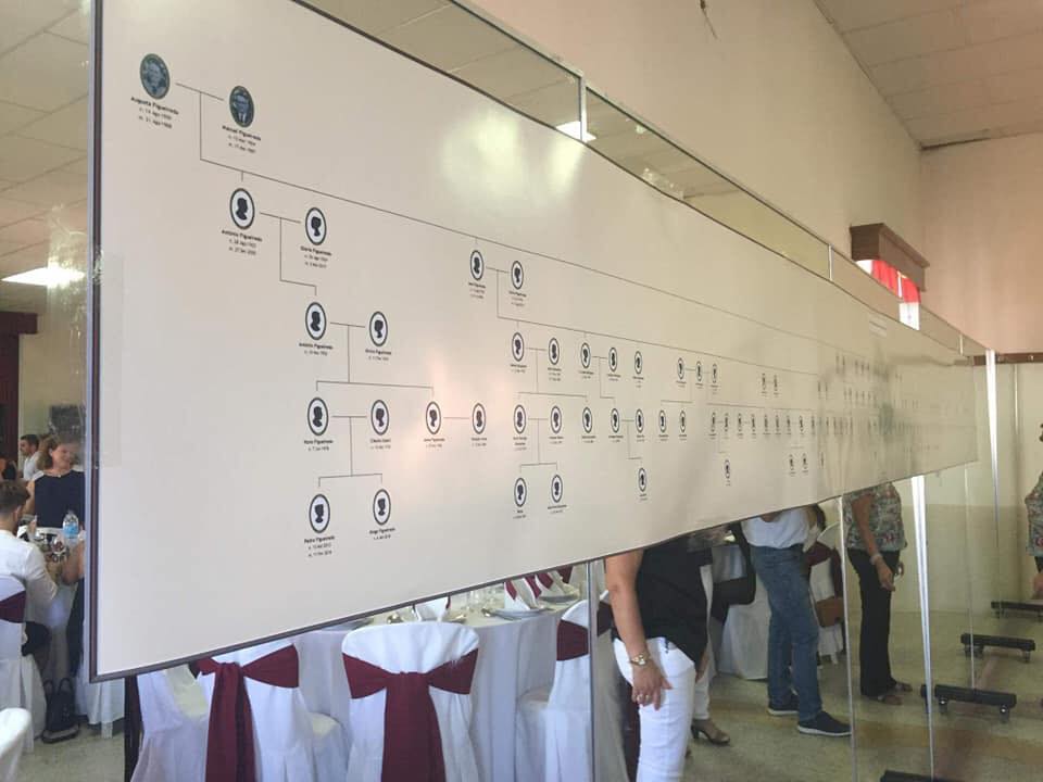Impressão de árvore genealógica com 6 metros de comprimento.