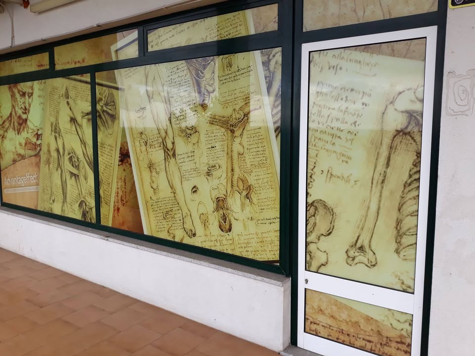 Decoração de espaço – ADVANTAGEFFECT CENTRO DE FISIOTERAPIA E FISIOTERAPIA AVANÇADA – Seia
