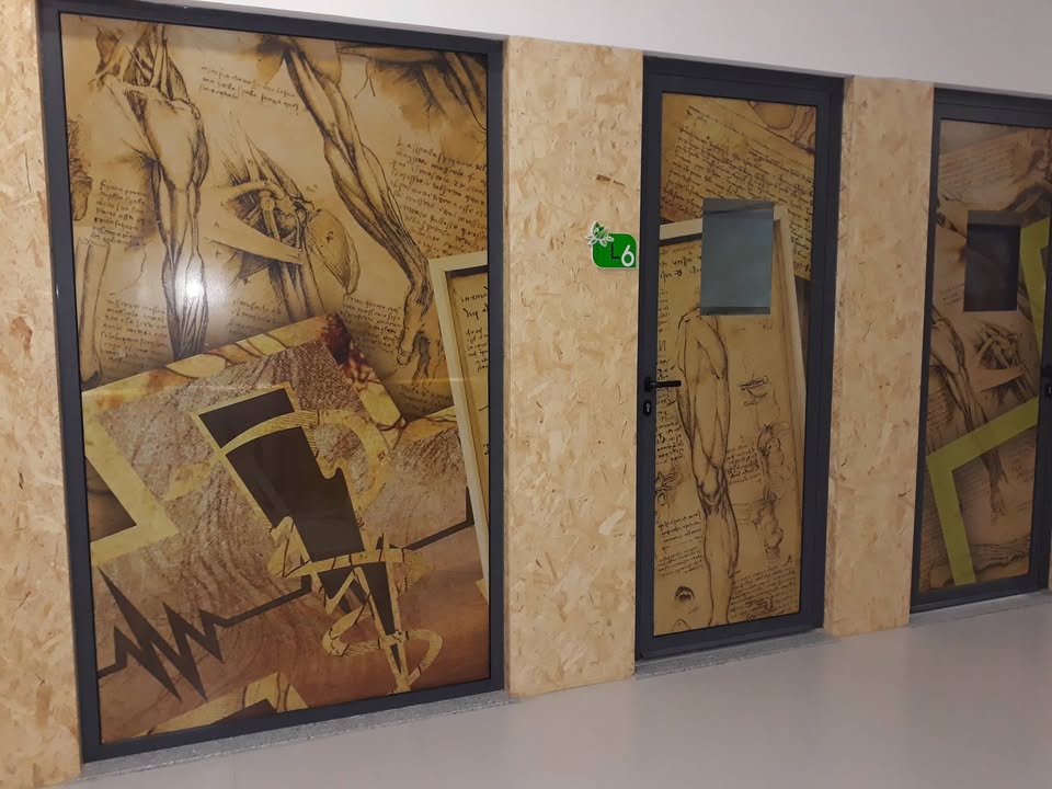 Decoração de espaço comercial – ADVANTAGEFFECT – Fisioterapia Avançada – Mangualde.